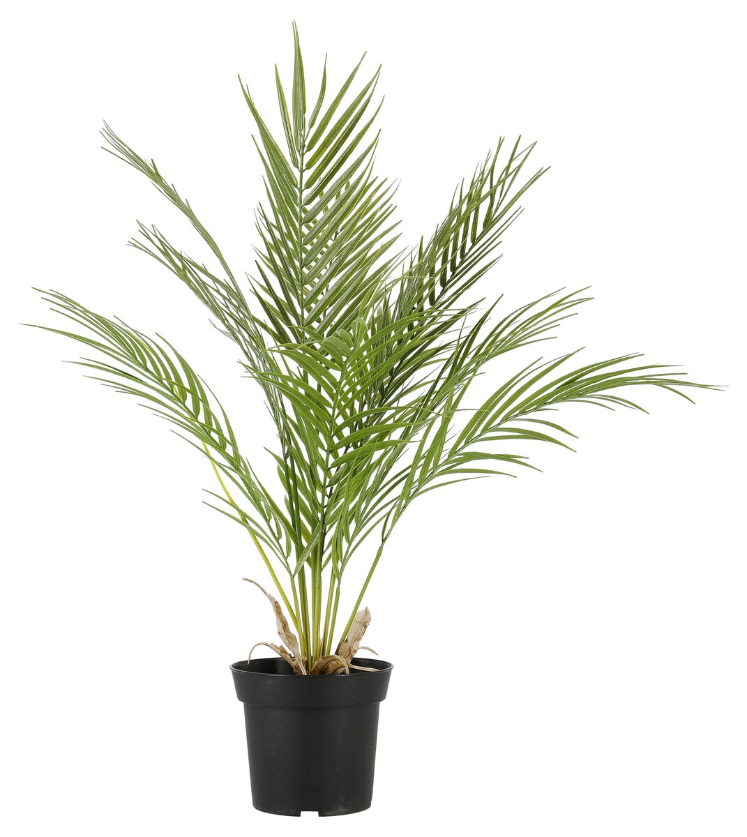 Kunstig palme, 64 cm