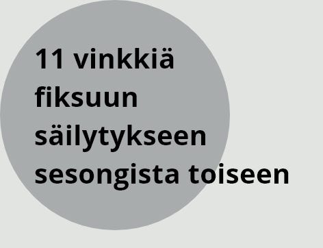 11 vinkkiä fiksuun säilytykseen sesongista toiseen