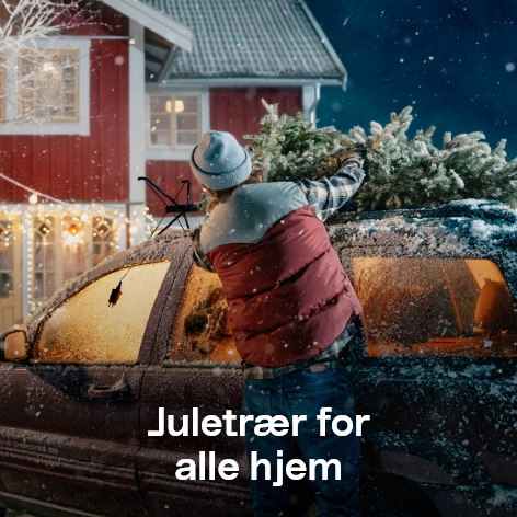 Juletrær for alle hjem
