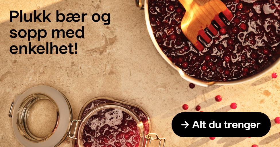 Plukk bær og sopp med enkelhet! Alt du trenger