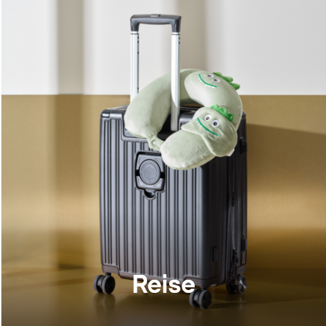 Reise


 