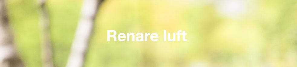 Renare luft