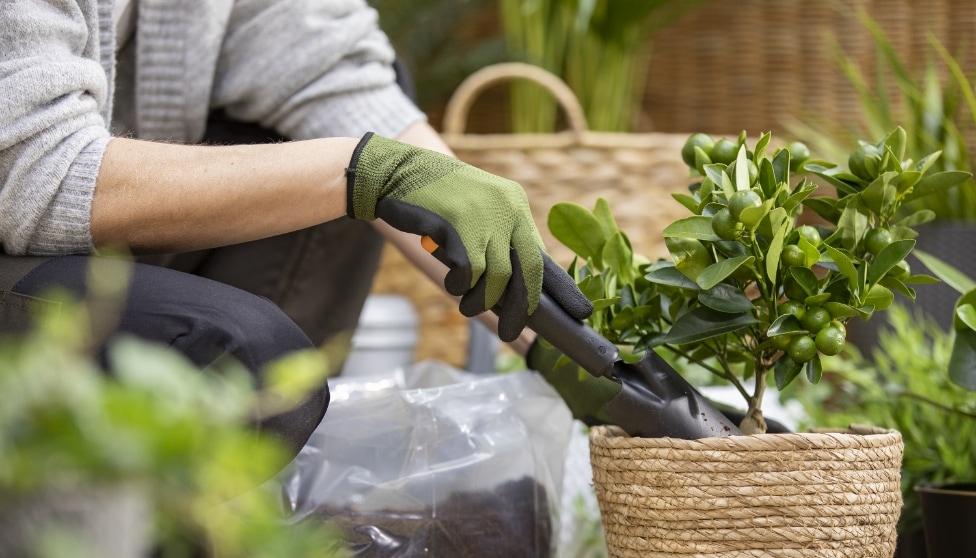 Vårda dina trädgårdsredskap