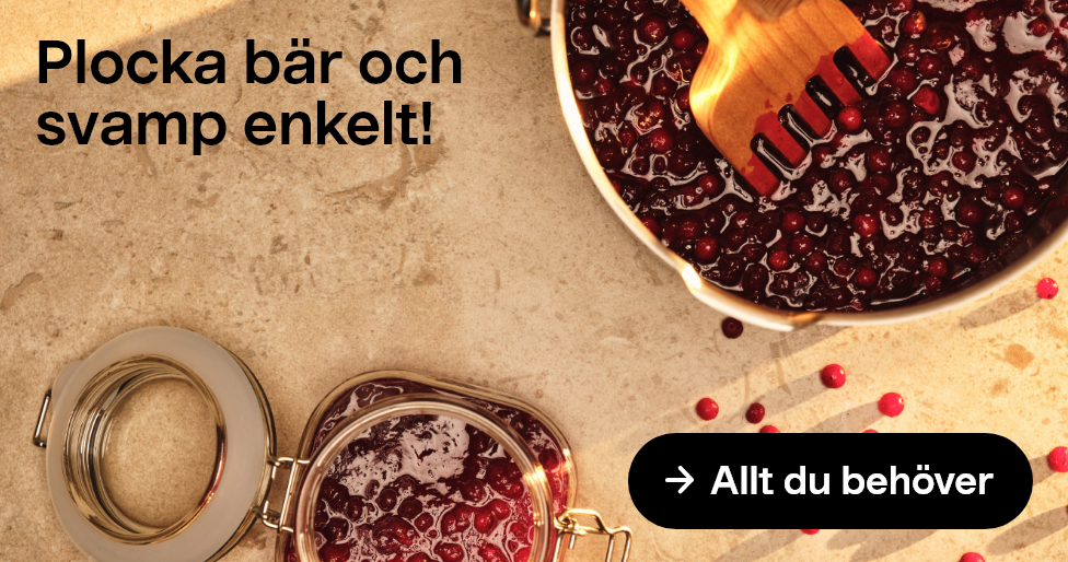 Plocka bär och svamp enkelt! Allt du behöver.