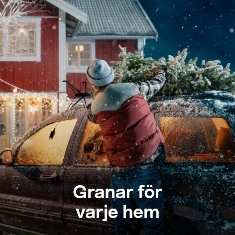  Julgranar för varje hem  