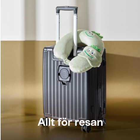Allt för resan


 