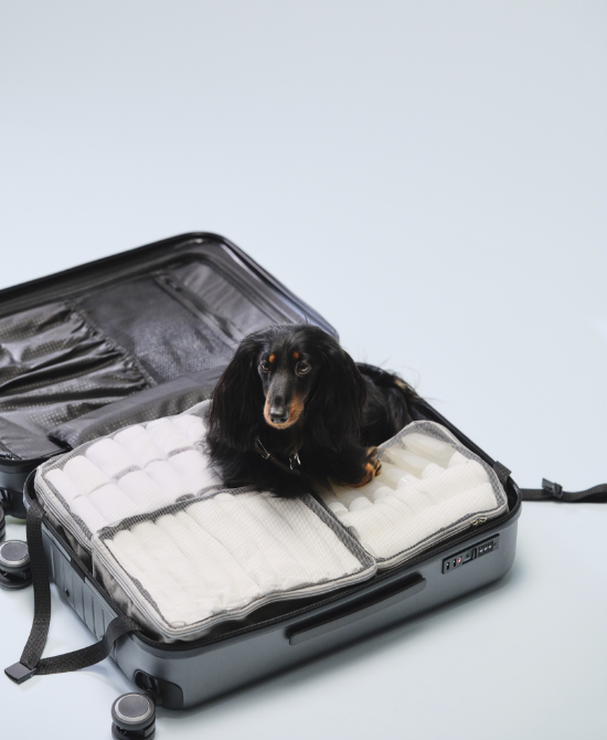  Packa lätt med ordning i väskan. Allt för resan