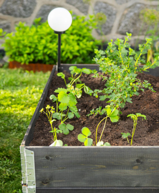 Till växthus & pallkrage