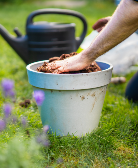 Till krukor & blomlådor