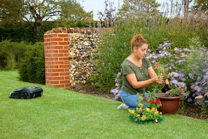 Bosch Indego S+ 500 robotgressklipper