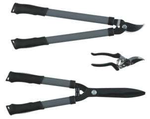 Pensassakset, oksasakset ja puutarhasakset