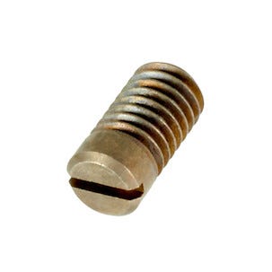 Ruuvi terälukitsimelle Bosch