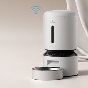 Petlibro Ruokinta-automaatti kissalle, WiFi, 5 litraa