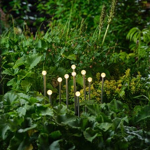 Northlight solcellebelysning for bed 10 kuler med jordspyd