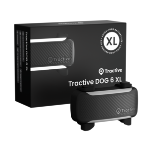 Tractive Dog 6XL GPS-tracker for stor hund