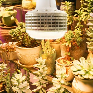 LED-kasvivalo E27 täysi spektri, kasvilamppu, 60 W