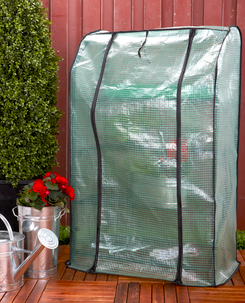 Miniväxthus/blomhylla