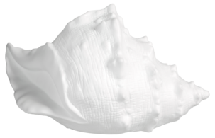 Pöytävalaisin Snäcka posliinia, Northlight