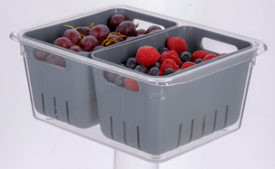 Kylskåpsförvaring med lock, Coline