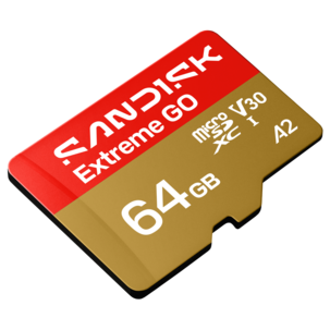 Sandisk Extreme GO UHS-I microSD-kort