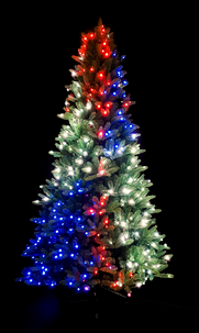 Twinkly Julgran med smart belysning, 230 cm, inomhus