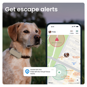 Tractive Dog 6 GPS-tracker for hund