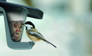 Dobbel fuglemater 