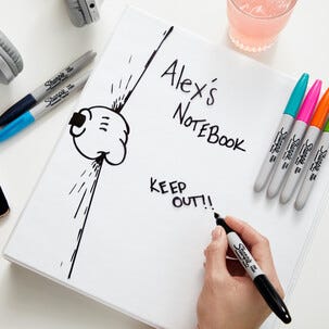 Sharpie märkpennor finspetsig specialutgåva 18-pack