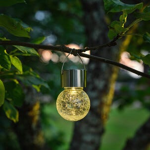 Northlight solcellslykta hängande glaskula, hängande, 6 cm