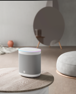 Xiaomi Mi Smart Speaker, WiFi högtalare med Google röstassistent