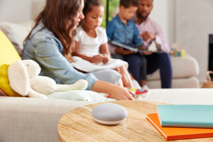 Google Home Mini, stemmeassistent, norsk versjon