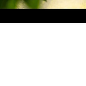 Primus OpenFire stekhäll för lägereld, rostfritt stål