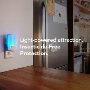 Raid Essentials elektrisk flugfångare med UV och klister
