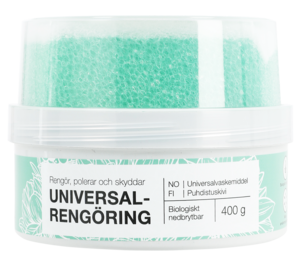 Puhdistuskivi ja sieni