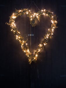 LED genomskinlig ljusslinga Northlight, varmvit