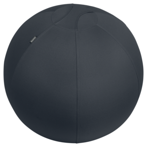 Leitz Ergo Cosy ergonomisk sitteball til kontor, 65 cm
