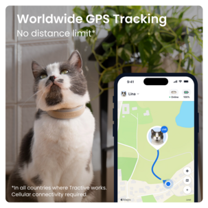 Tractive Cat 6 Mini GPS tracker för katt