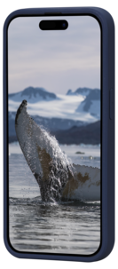 Mobildeksel for iPhone 15 Pro Max, dbramante1928 Greenland