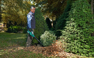 Lövblås Bosch ALB 36 LI BAR 