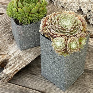 Dupli-Color Granite Look sprayfärg granit, 400 ml