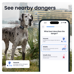 Tractive Dog 6XL GPS-tracker for stor hund