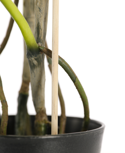 Kukkakeppi bambu 60 cm, 10 kpl