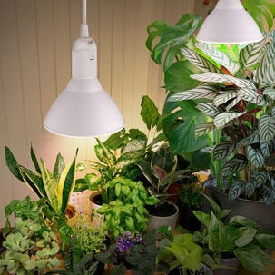 Växtlampa LED E27 PAR38, odlingslampa inomhus, 15W