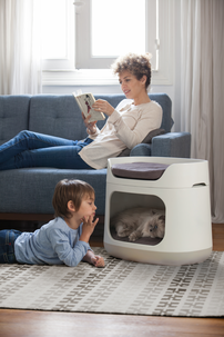 Djurbädd Curver Bunkbed 3 in 1