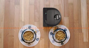 Robotdammsugare Neato Botvac D6 Connected