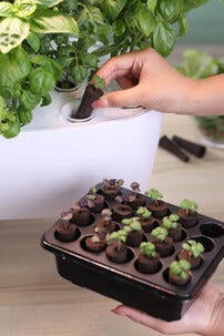 Sett for hydroponisk dyrking med 16 plugger, innendørs