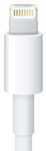 Apple Lightning adapter for iPhone/iPod