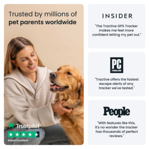 Tractive Dog 6 GPS-tracker for hund