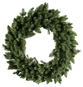 Ovikranssi kuusenhavu