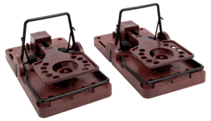 SafeTrap tunnelbox med 2 råttfällor